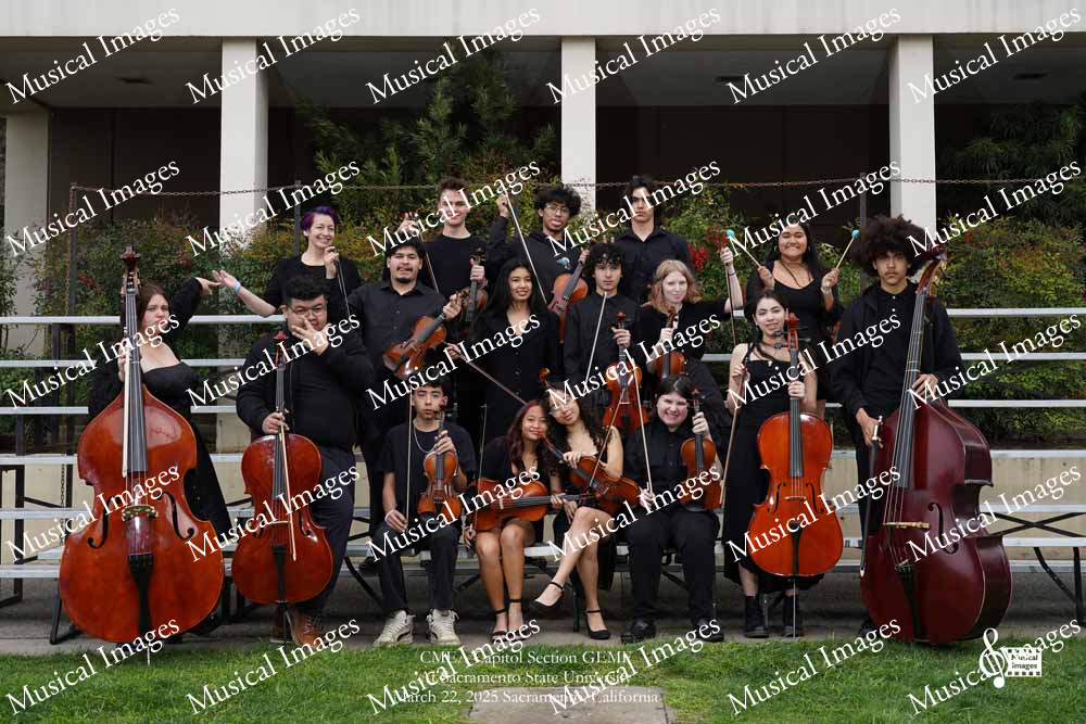 Musical Images